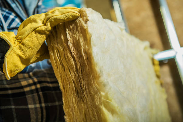 Best Insulation Maintenance and Repair in Ivins, UT