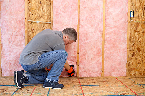 Best Commercial Insulation in Ivins, UT